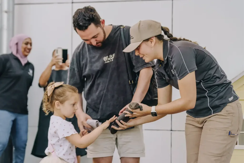 Caring for Animals, Caring for Each Other: Lessons from Hills Wildlife Sanctuary